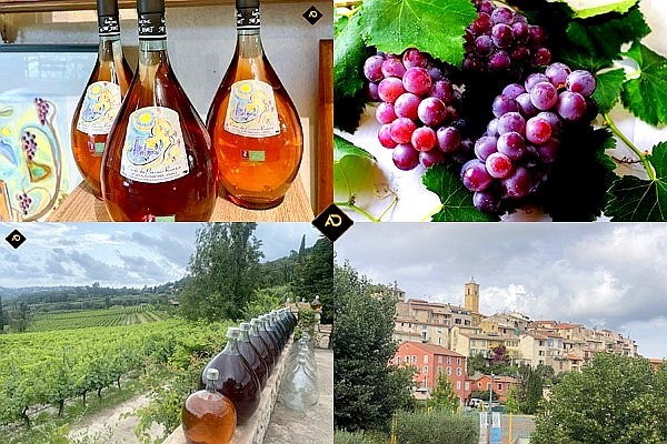 Domaine des hautes collines