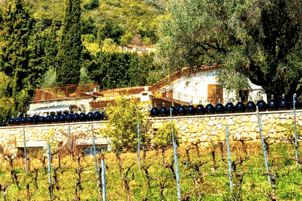 Domaine des hautes collines
