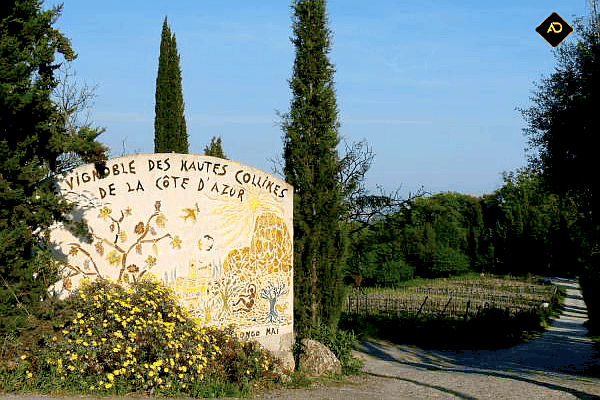 Domaine des hautes collines