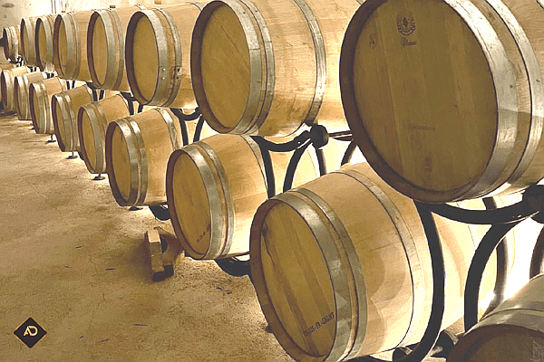 Cellar of the Domaine des Hautes Collines Cellar of the Domaine des Hautes Collines