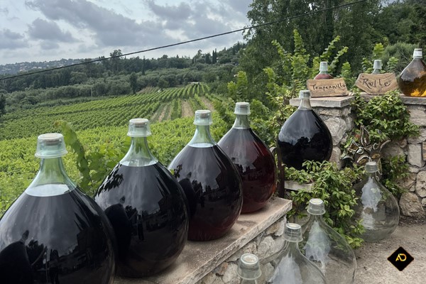 Cave du Domaine des hautes collines
