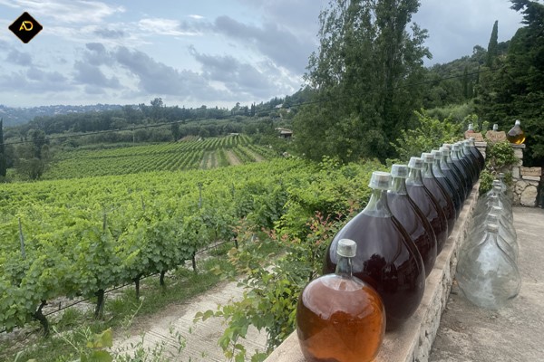 Cave du Domaine des hautes collines