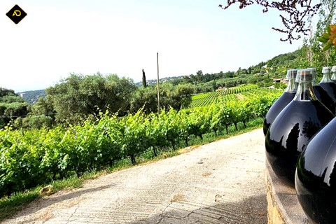 Vins de domaine des hautes Collines